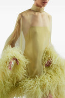 Vestido maxi transparente dourado com capa de penas em tom kiwi claro